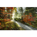 Feuerzungen - Thumbnail View 1