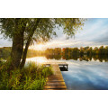 Picnic - Thumbnail View 1
