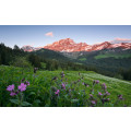 Picturesque Switzerland - Thumbnail View 1