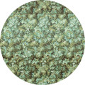 Greenery - Thumbnail View 1
