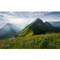 The Green Queen - Thumbnail View 1