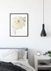 Illustration Dahlia