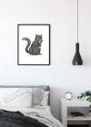 Cute Animal Cat