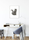 Cute Animal Cat