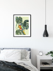 Green-Winged Macaw