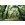 Ancient Green  - Thumbnail View 1