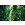 Green Leaves  - Thumbnail View 1