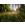 Summer Glade - Thumbnail View 1