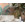 Safari Pattern - Thumbnail View 1