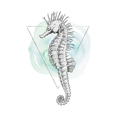 Sea Horse Watercolor