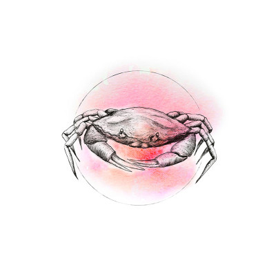 Crab Watercolor