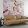 Pink Blossom - View 1