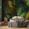 Amazon Fern - View 1