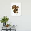 Cute Animal Squirrel - View 1