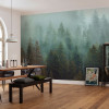 Foggy Firs - View 1