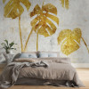 Golden Monstera - View 1