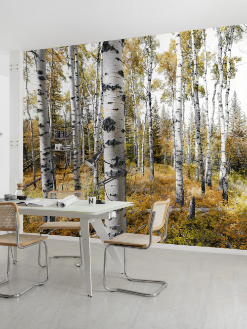 Colorful Aspenwoods - Slider Item - View 1