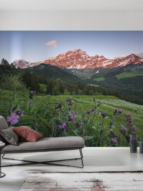 Picturesque Switzerland - Slider Item - View 1