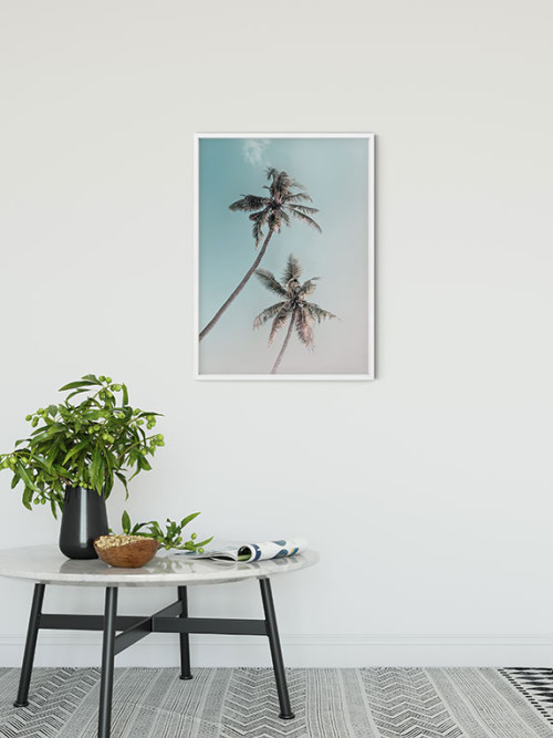 Miami Palms - Slider Item - View 1