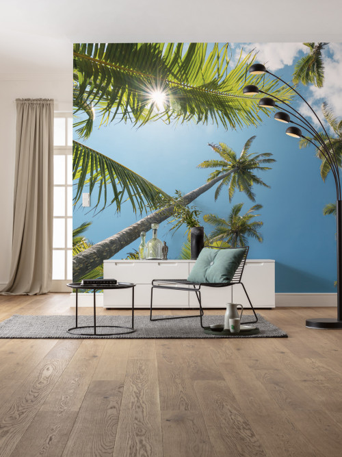 Coconut Heaven II  - Slider Item - View 1