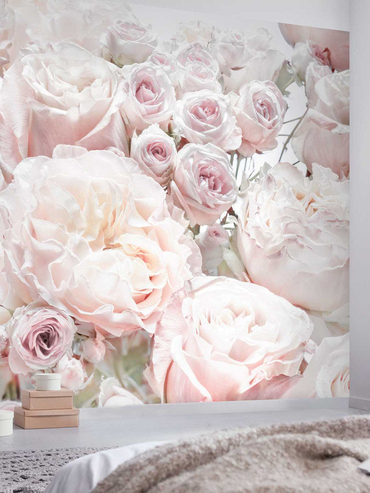 Spring Roses