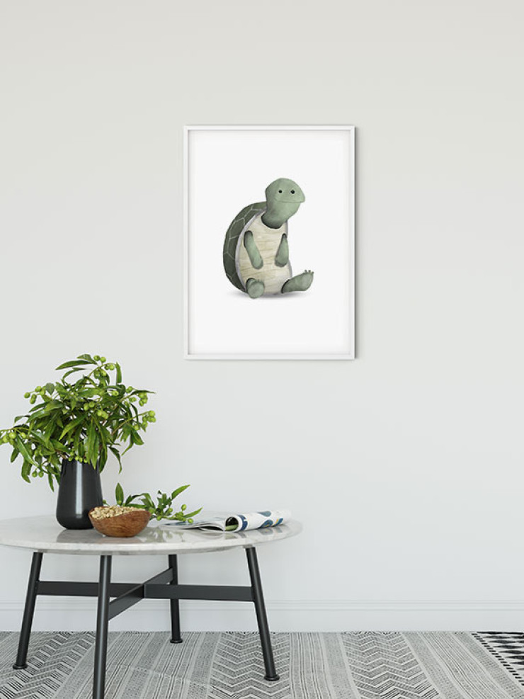 Cute Animal Turtle