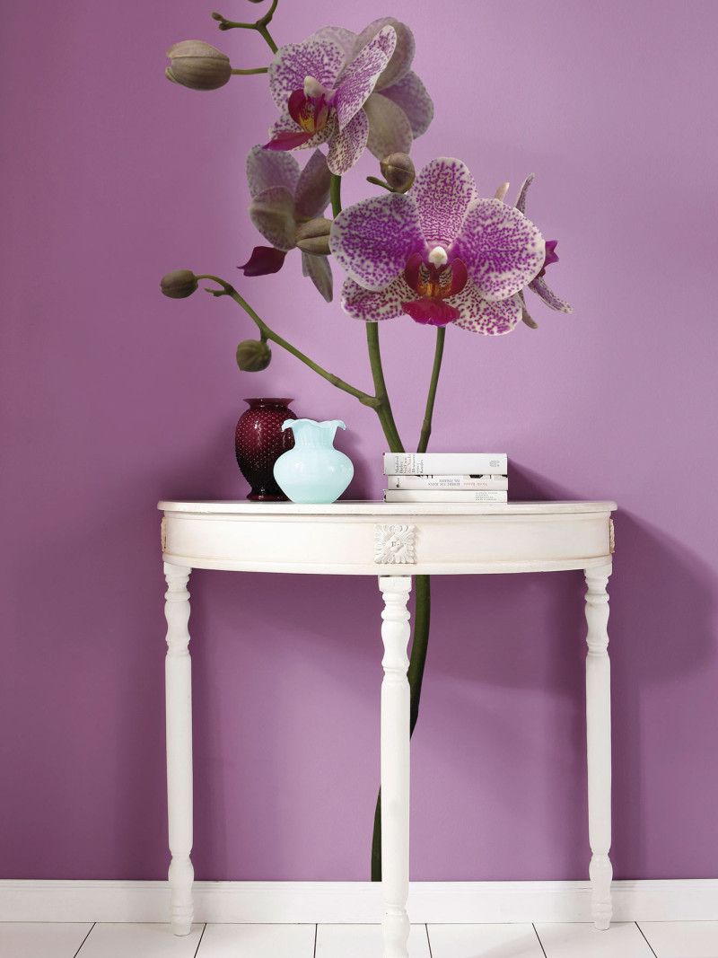 Orchidee - View 1