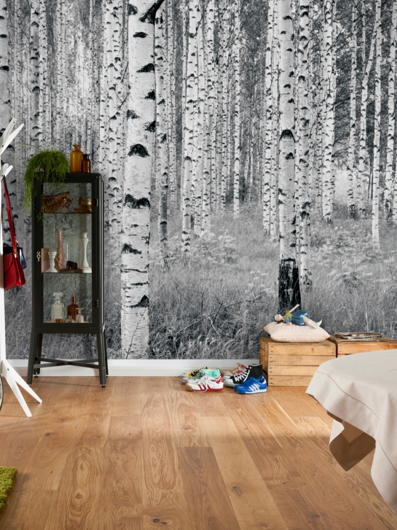 Woods - View 1