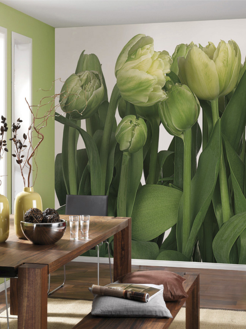 Tulips - View 1