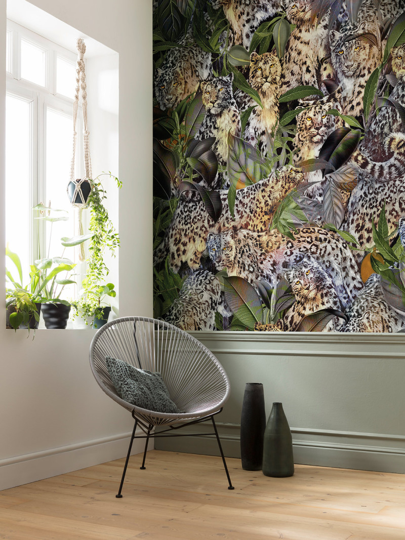 Wild Cats - View 1