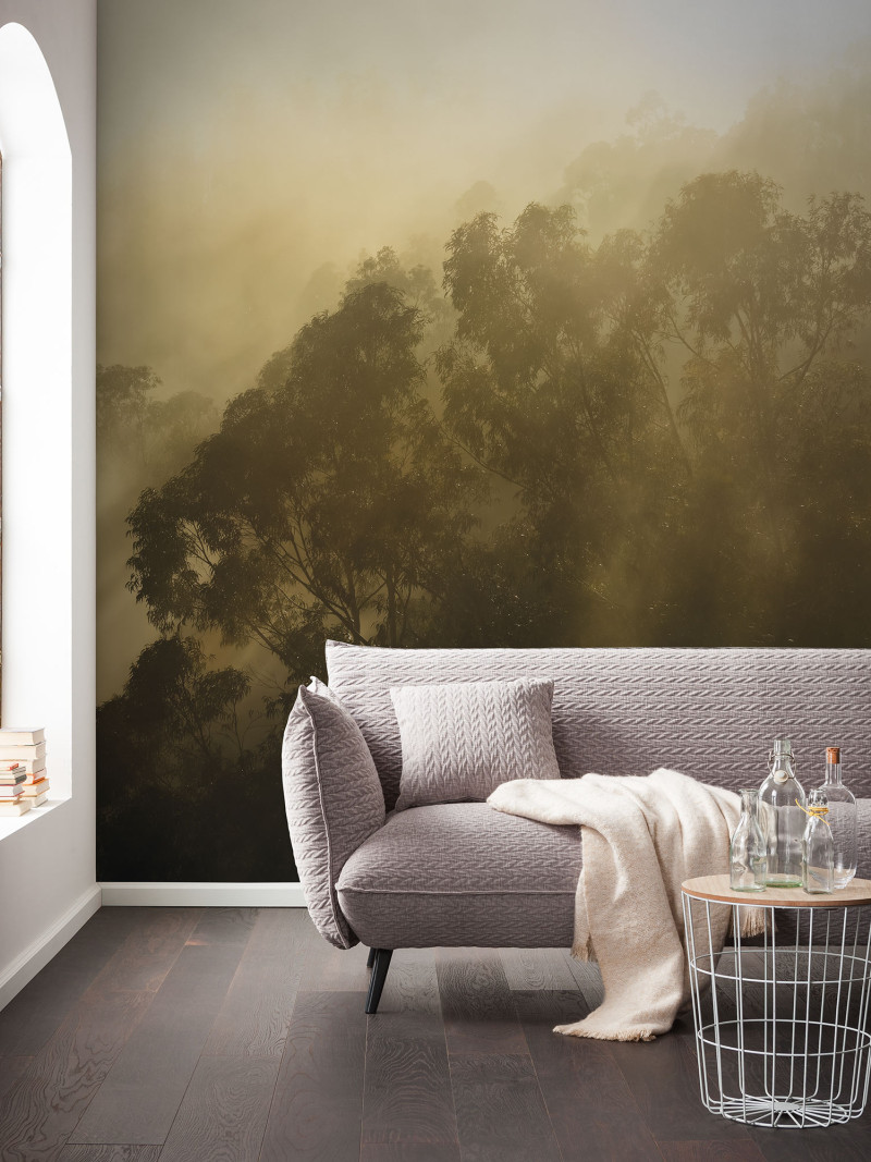 Foggy Sunshine - View 1