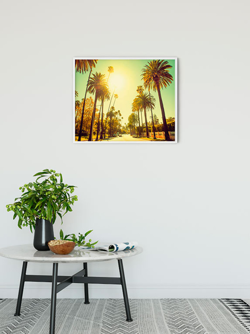 Palm Alley - View 1