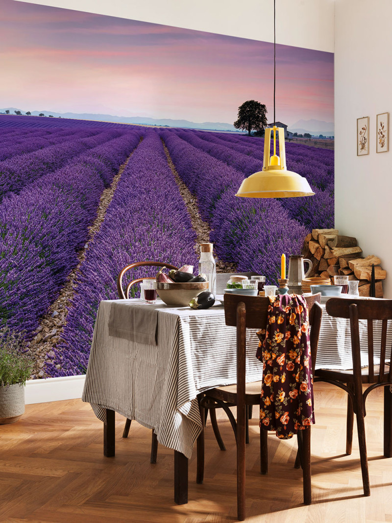 Provence - View 1
