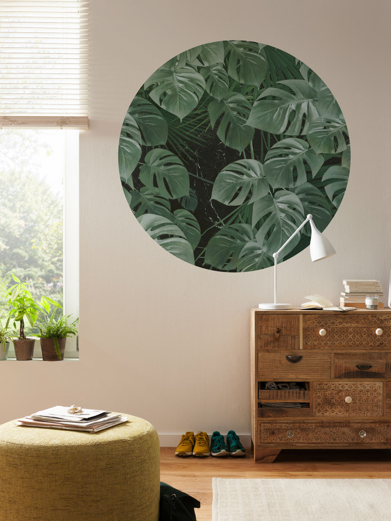 Novel Monstera - View 1