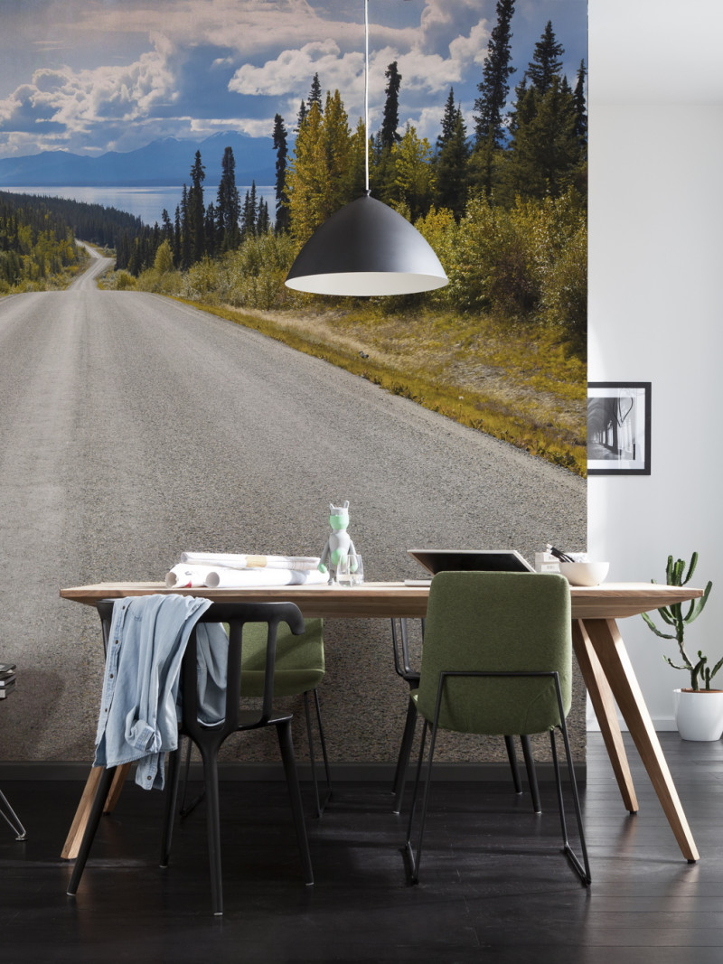 Atlin Road - View 1