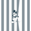 Mickey Offbeat