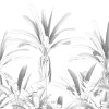 Musa - Thumbnail View 1
