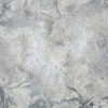 Flower Fossil - Thumbnail View 1