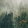 Tales of the Carpathians - Thumbnail View 1