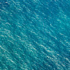 Blaupause - Thumbnail View 1