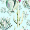 Cactus Blue - Thumbnail View 1