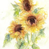 Girasol - Thumbnail View 1