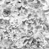 Amazonia Black and White - Slider Item - View 1
