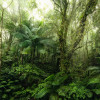 Mindfulness - Thumbnail View 1