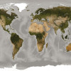 World - Thumbnail View 1