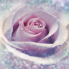 Joli - Slider Item - View 1