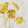 Golden Monstera - Thumbnail View 1