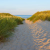 Sandy Path - Thumbnail View 1