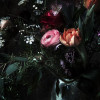 Still Life - Thumbnail View 1