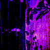 Bubbles Ascending darkblu-pinke - Thumbnail View 1